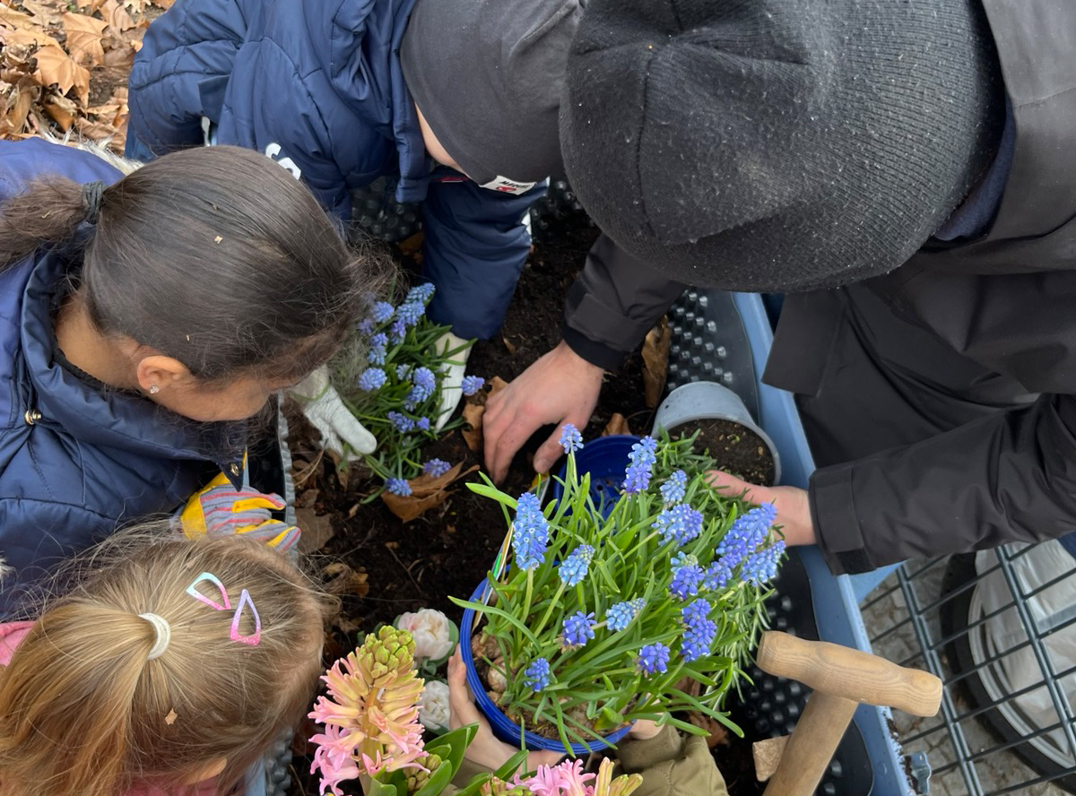 Gemeinsames Pflanzen bei der Früühlingsaktion im AVA-Kiez